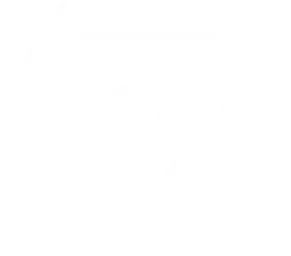 Core values